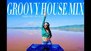 Groovy House Mix | Tiger Fist Ocular