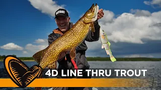 4D Line Thru Trout - Big bait, big fish!
