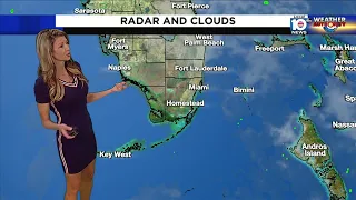 Local10News Weather :09/01/2023 morning edition