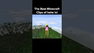 The Best Minecraft Shorts of 2023