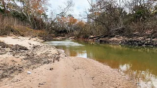 MONSTROUS Fish Live in This TINY URBAN STREAM!! (Bank Fishing)