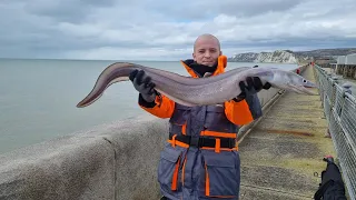 Admiralty Pier Dover| Conger Fishing