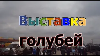 Выставка голубей 2021