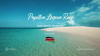 Papillon Lagoon Reef - Kenya, February 2023