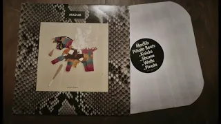 Madlib - Shame (instrumental) Piñata Beats ( Vinyl to Digital )