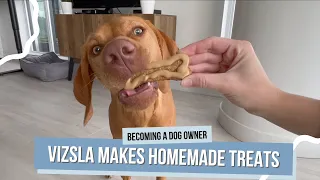 Willa’s Cooking Show | Vizsla Makes Homemade Treats with Frosting