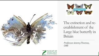 Researcher's Stoires: The extinction and re-establishment of the Large blue butterfly in Britain