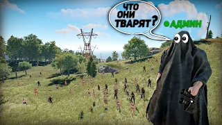 Вайп глазами Админа в Раст | Слежу за игроками пока они выживают в Rust !