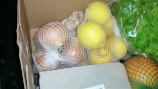 Unboxing the Riverford Organic Farmers Delivery! 🐥🐓🦃 Organic Vegetables & Meat! 🍌🍋🍓