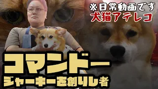 【犬猫アテレコ】筋肉モリモリマッチョマンも喜ぶジャーキーだ(高たんぱく)