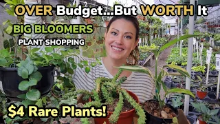 $4 RARE PLANTS! Over Budget...But WORTH It Plant Shopping At Big Bloomers & Rare Plant Haul