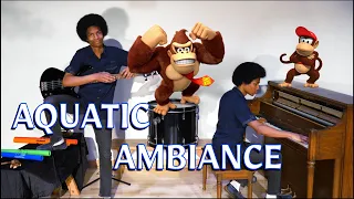 Donkey Kong Country "Aquatic Ambiance" (Solo Cover by Aaron Grooves)