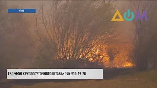 Масштабные пожары в Луганской области: погибли 4 человека