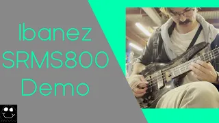 Ibanez SRMS800 Demo - Floof the Bassist