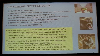 Вячеслав Дубынин, МФК весна 2018, лекция 3, мозг и потребности