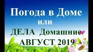 ВОДОЛЕЙ. ДЕЛА ДОМАШНИЕ – август 2019. Прогноз Tarot.