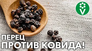 НАКОНЕЦ-ТО ХОРОШИЕ НОВОСТИ! Черный ПЕРЕЦ защитит вас от КОРОНАВИРУСА!