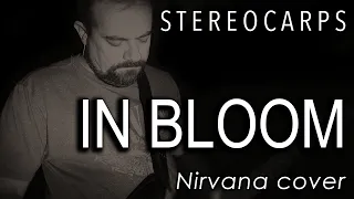 Stereocarps - In Bloom (Nirvana cover)