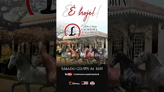 É Hoje - 3º Leilão Criação Haras Laglória