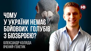 Чому у України немає бойовоих голубів з біозброєю? – Олександр Коляда