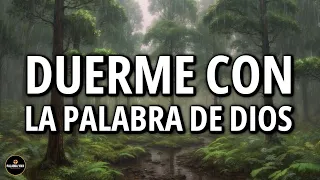 Duerme con la palabra de Dios | Biblia Hablada | Lluvia suave | 3 HRS