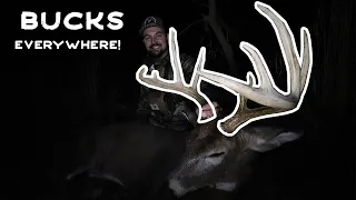 BIG BUCKS EVERYWHERE | 150" SELF FILMED BUCK WITH BOW | OHIO WHITETAIL RUT ACTION