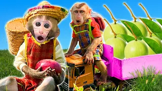 DoDo Baby Monkey Explores the Gigantic Farm: Tasting Various Types of Fruits | KIKI ANIMAL MONKEY
