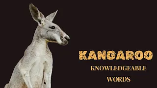 Kangaroo Kingdom : Exploring the World of Australia's Iconic Marsupials
