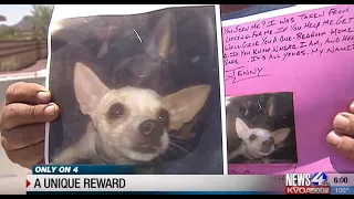 Arizona Man Offers Home As A Reward For Missing Chihuahua