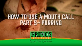 How to Use a Mouth Call Part 5 - Purring