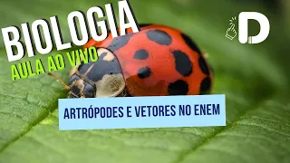 Biologia - Artrópodes e Vetores no Enem - Aula ao vivo (2024)