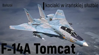 F-14A Tomcat | kociaki w irańskiej służbie