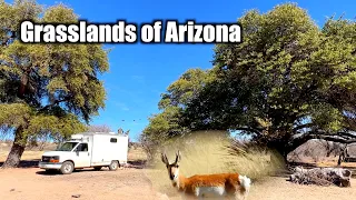 Moving Camp to Grasslands of Arizona