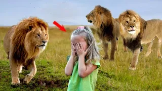 Lions Surrounded The Girl, She Thought It Was The End, But Suddenly The Incredible Happened.