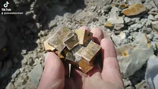 Pyrit Würfel pirit piritas Spanien Kristall Crystal Mineralien minerals colector sammeln selten top