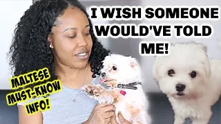 WATCH THIS BEFORE YOU ADOPT A MALTESE | THINGS NOBODY TOLD ME