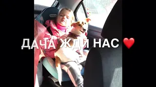 Моя поездка на дачу ❤️