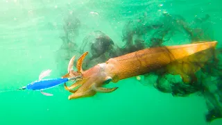 Jigging Squid Catch and Cook | Grilled Chourico-Stuffed Calamari | Living off the Land & Sea #7