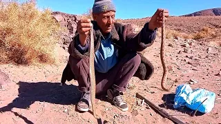 شاهد اخطر صياد الافاعي في المغرب سي عابد العساوي ويتحدى جمال العمواسي بدون ادوات الصيد