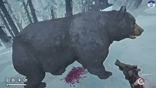 Здравствуй, шикарное обновление The Long Dark!