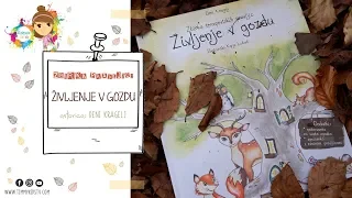 Timmy KIDS TV. Pravljice - ŽIVLJENJE V GOZDU.