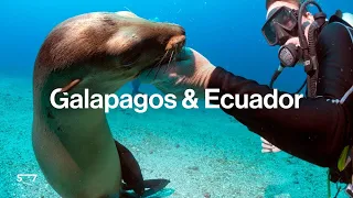 Galapagos & Ecuador: Discover the Real-Life Jurassic Park
