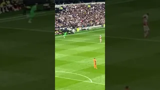 PIERLUIGI GOLLINI INTRODUCED TO THE TOTTENHAM FANS!