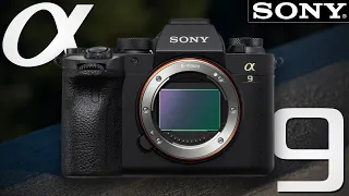 Sony A9 III Camera: Release Date & All Specifications!