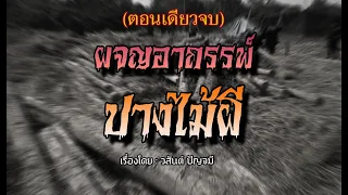 ผจญอาถรรพ์ปางไม้ผี (คลิปเดียวจบ)