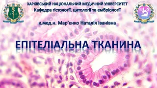 Епітеліальна тканина. Гістологія