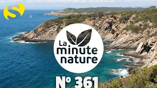 UN SANCTUAIRE EN MÉDITERRANÉE (No 361)