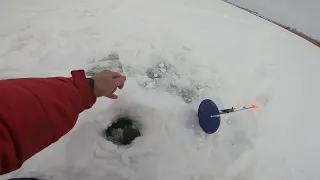 РЫБАЛКА НА ЖЕРЛИЦЫ.В ЭТОМ ВОДОЁМЕ НЕУЛОВИМЫЕ ЩУКИ.