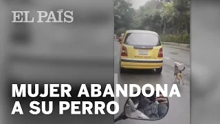 Un perro persigue el taxi en el que viaja su dueña que lo había abandonado en Medellín