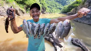 pesca de tilapias y mojarras y camarón